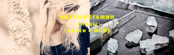 молекула духа Вяземский
