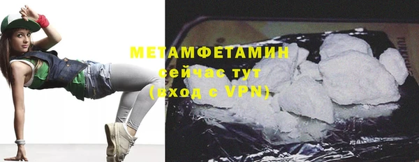 молекула духа Вяземский