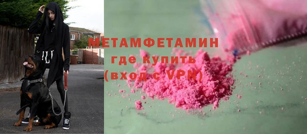 молекула духа Вяземский