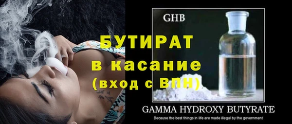 молекула духа Вяземский