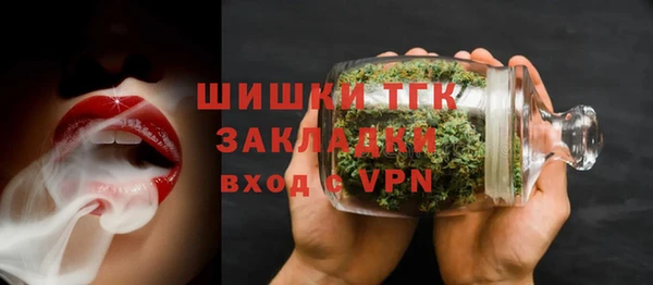 молекула духа Вяземский