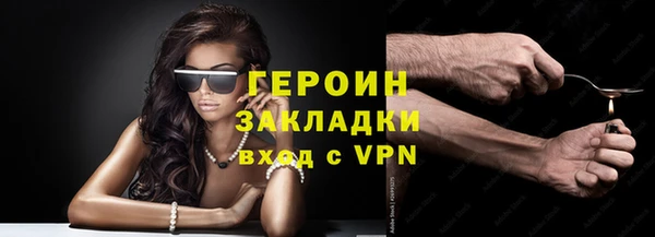 молекула духа Вяземский