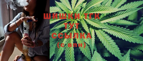 молекула духа Вяземский