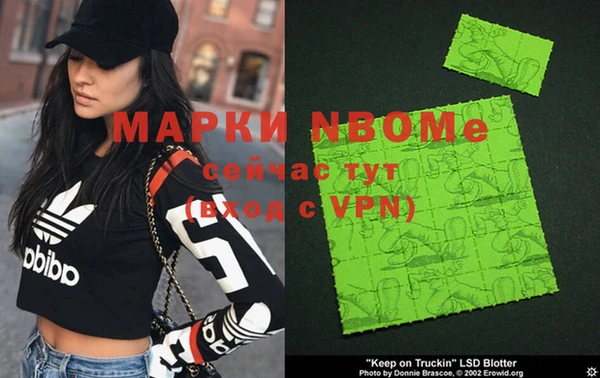 молекула духа Вяземский