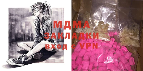 молекула духа Вяземский