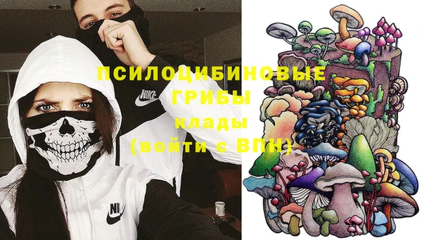 молекула духа Вяземский