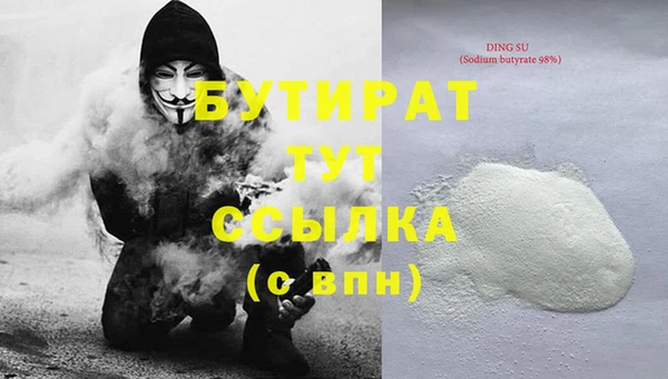 молекула духа Вяземский