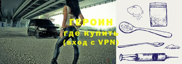 молекула духа Вяземский