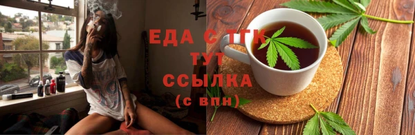 молекула духа Вяземский